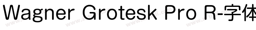 Wagner Grotesk Pro R字体转换